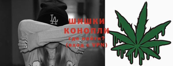 СК Богородск