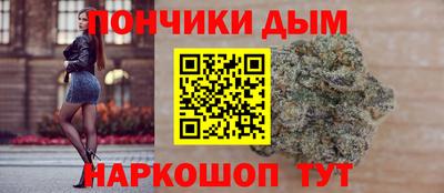 крисы Донской