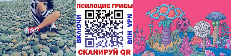 Псилоцибиновые грибы мицелий  купить наркоту  Буйнакск 