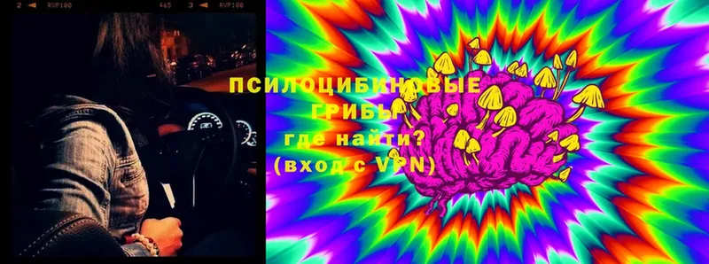 Псилоцибиновые грибы Magic Shrooms  как найти наркотики  сайты даркнета формула  Буйнакск 