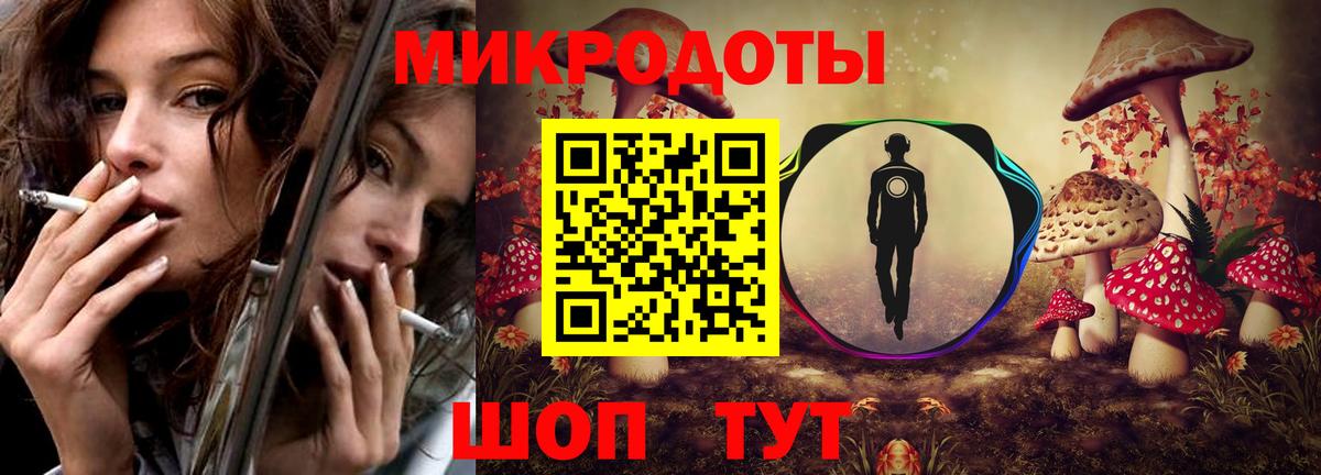 Галлюциногенные грибы Psilocybe Буйнакск