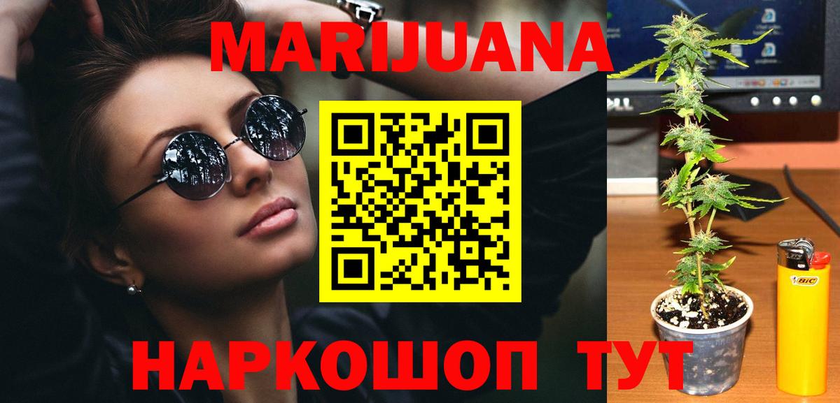 Бошки Шишки планчик Буйнакск